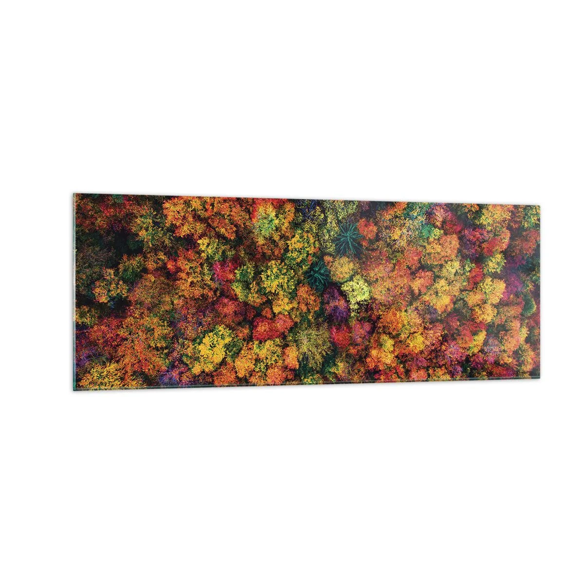 Obraz na szkle - Kolorowe korony drzew w jesiennej palecie barw - 140x50cm - Bukiet jesiennych drzew - Nowoczesna dekoracja ścienna do salonu i sypialni ARTTOR