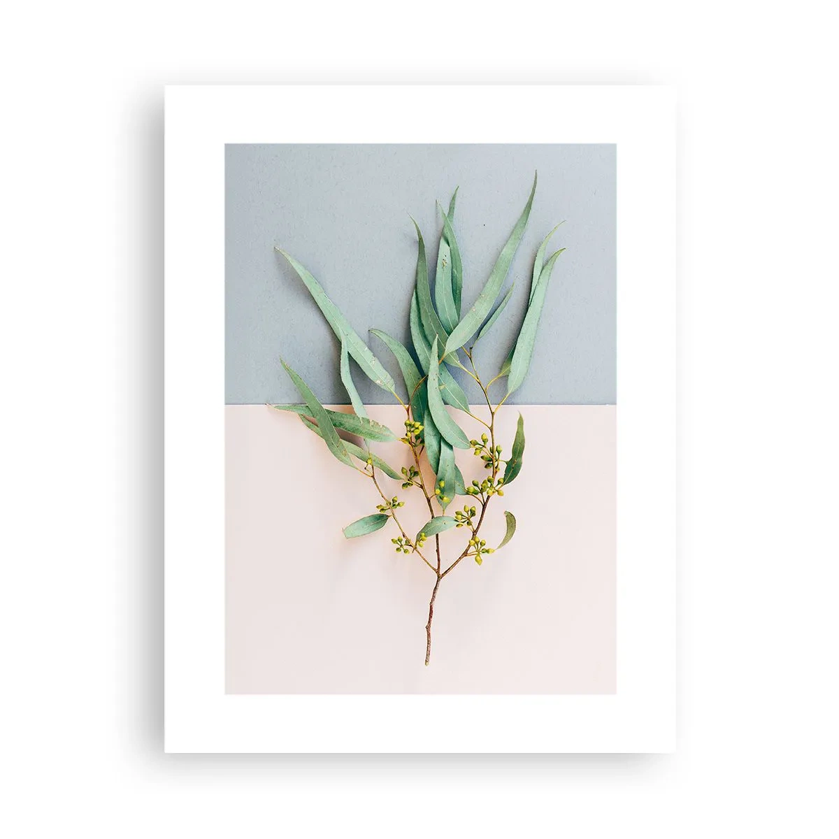 Plakat - Pastelowa subtelność - 30x40 cm