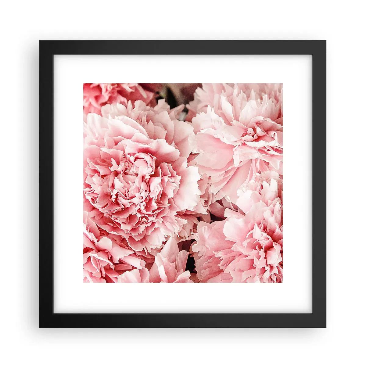 Plakat w czarnej ramie - Różowe marzenie - 30x30 cm