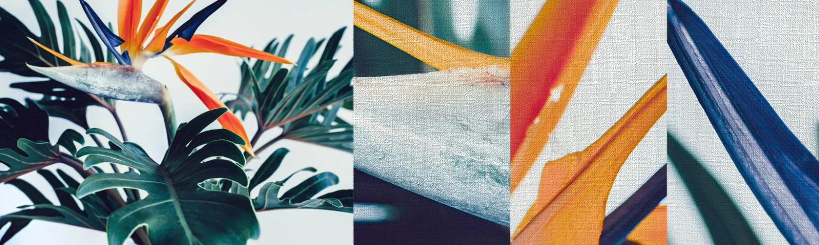 Fototapeta Próbka Premium Canvas - Ptakokrzak - Rośliny, Boho, Egzotyczny - 100x30 cm