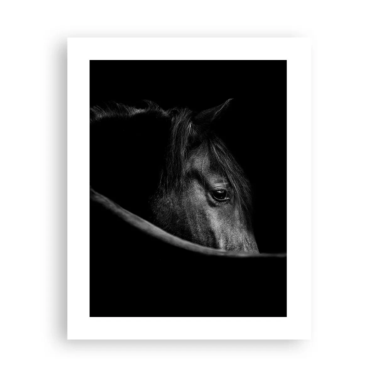 Plakat - Czarny książę - 40x50 cm