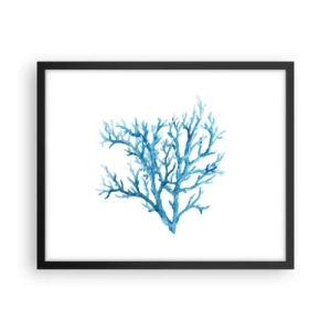 Plakat w czarnej ramie - Morski filigran - 50x40 cm