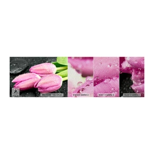 Fototapeta Próbka Premium Sand - Liliowa trójka na czarnym kamieniu - Kwiaty, Tulipany, Bukiet Kwiatów - 100x30 cm