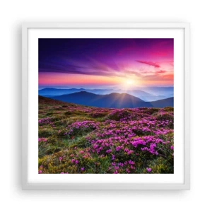 Plakat w białej ramie - Ziół zapachniały świeże pęki od niw - 50x50 cm