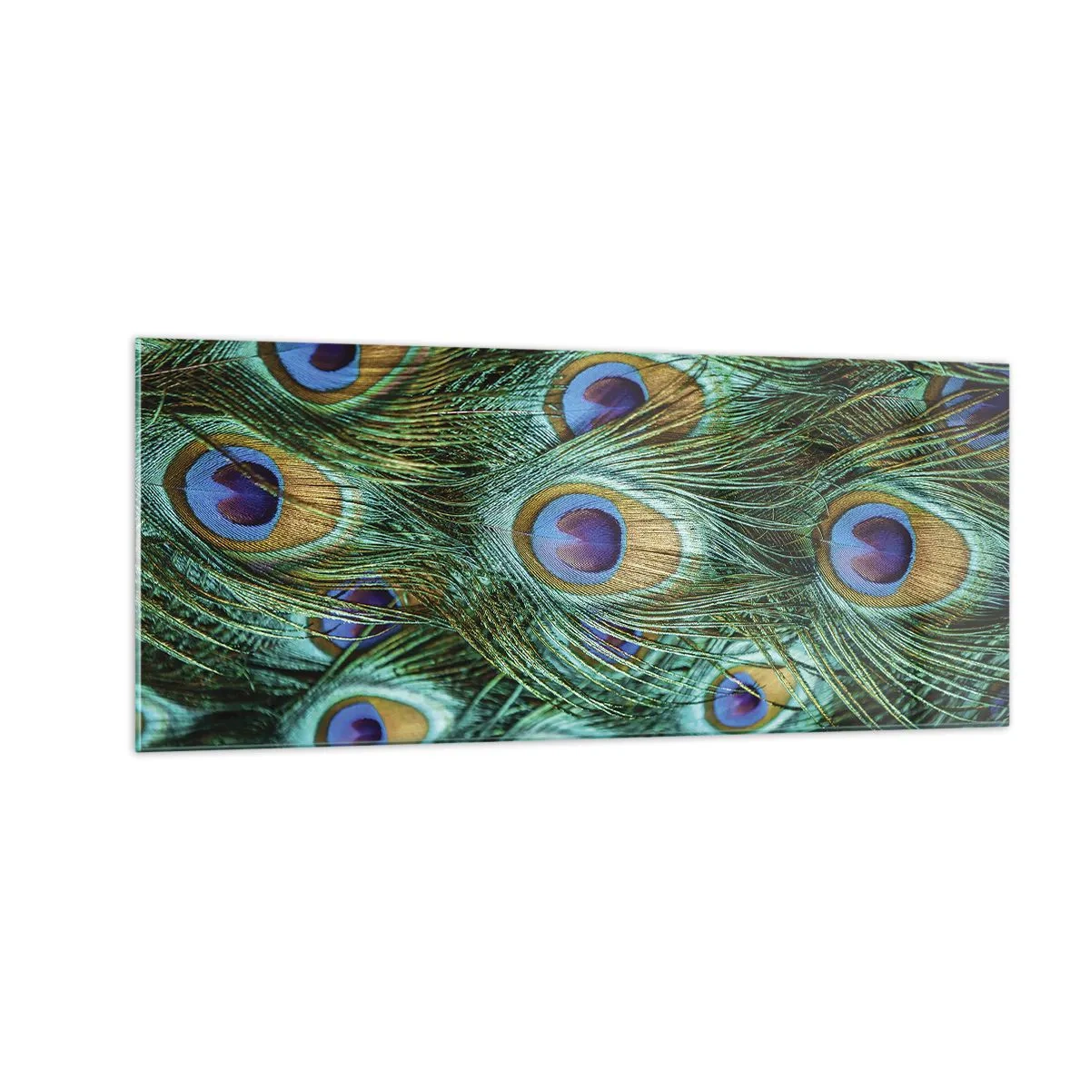 Obraz na szkle - Pawiookie spojrzenie - 100x40 cm
