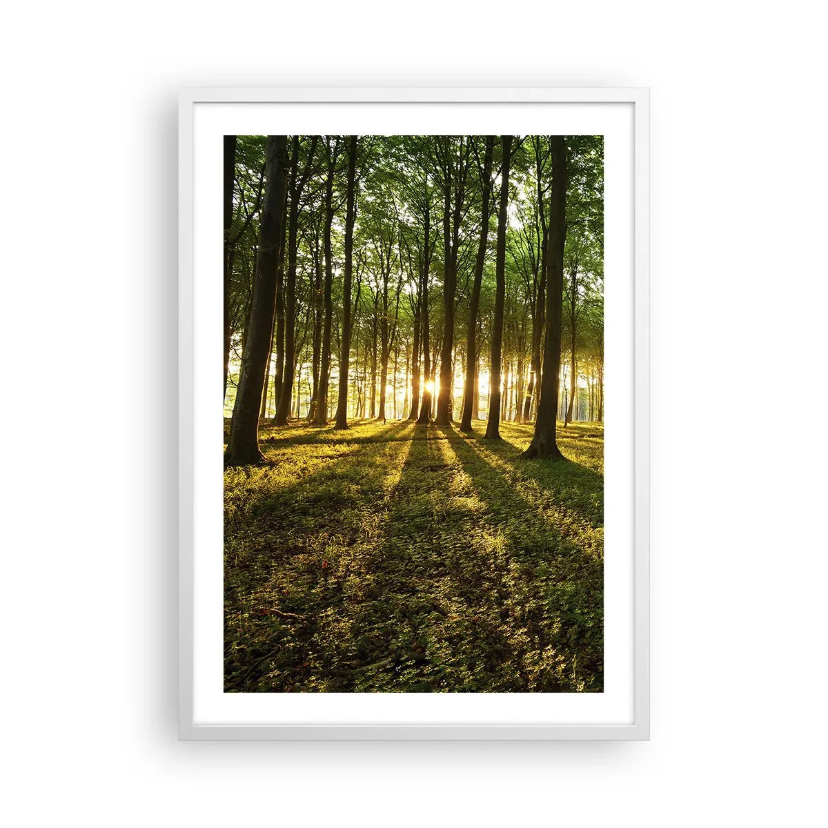Plakat w białej ramie - Fotografia wszystkich wiosen - 50x70 cm
