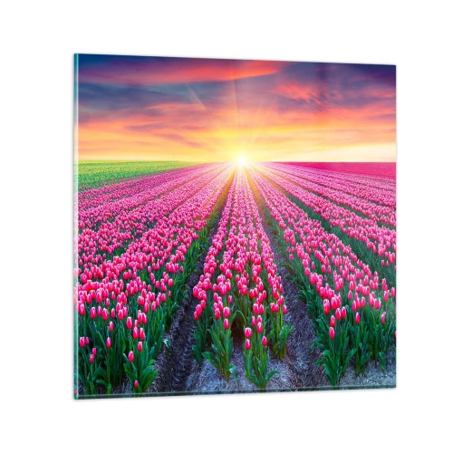 Obraz na szkle - Farma piękności - 70x70 cm