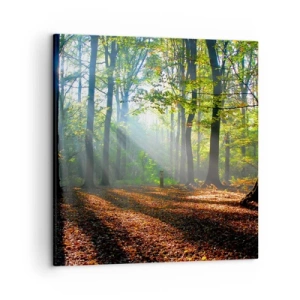 Obraz na płótnie - Blaski i cienie - 50x50 cm