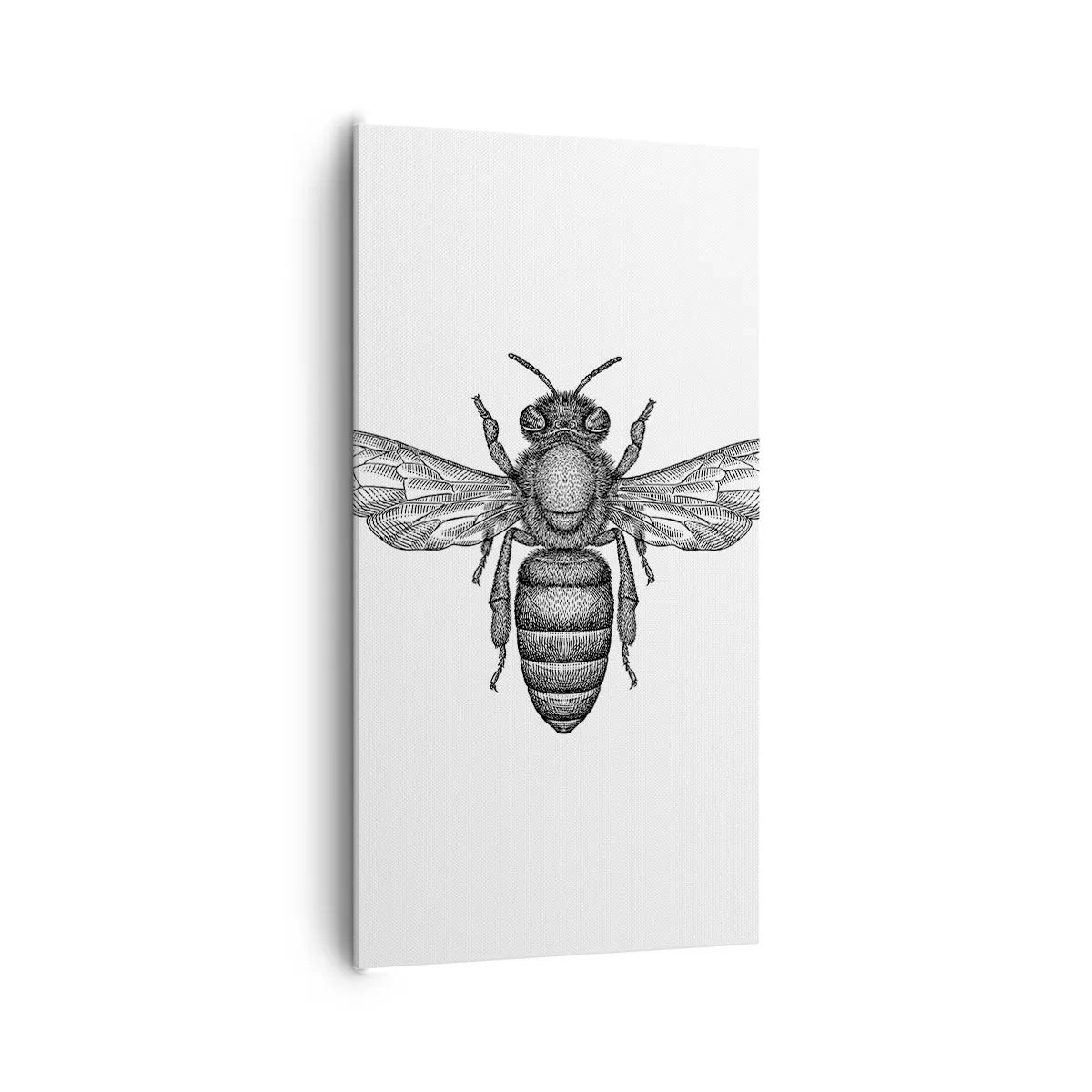 Obraz na płótnie - Owadzi portret - 65x120 cm