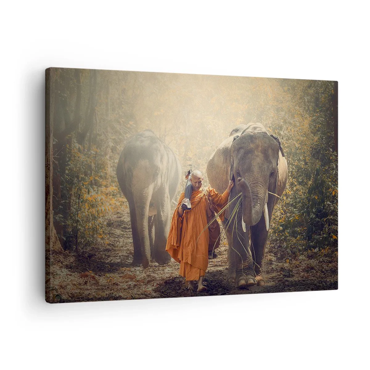 Obraz na płótnie - Mnich w pomarańczowej szacie prowadzący słonia w lesie - 70x50cm - Pełne zrozumienie - Nowoczesna dekoracja ścienna do salonu i sypialni ARTTOR
