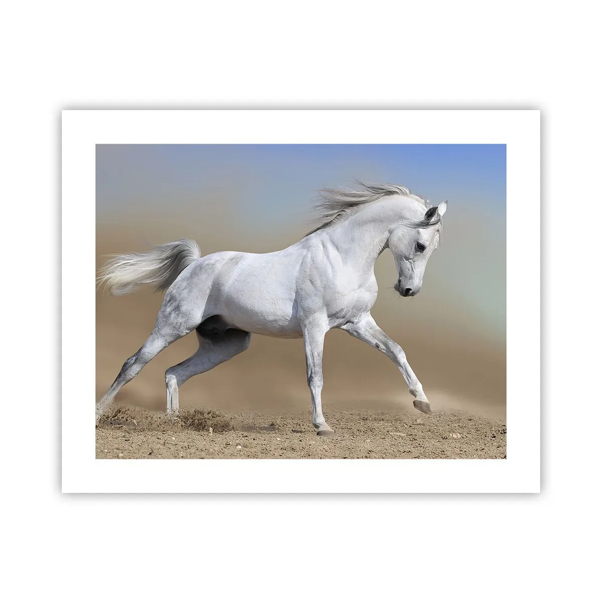 Plakat - Najpiękniejsza arabska baśń - 50x40 cm