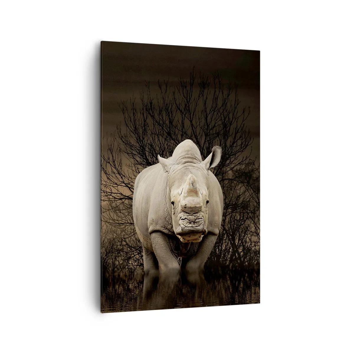 Obraz na płótnie - Nosorożec wśród drzew o zachodzie słońca, dzika natura. - 80x120cm - Biały przeciw naturze - Nowoczesna dekoracja ścienna do salonu i sypialni ARTTOR