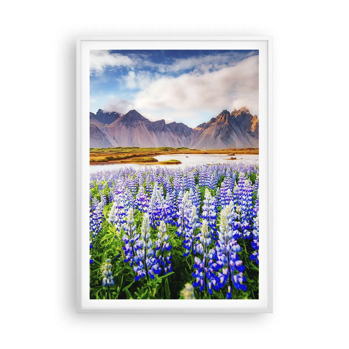 Plakat w białej ramie - Siła i surowość obok łagodności - 70x100 cm