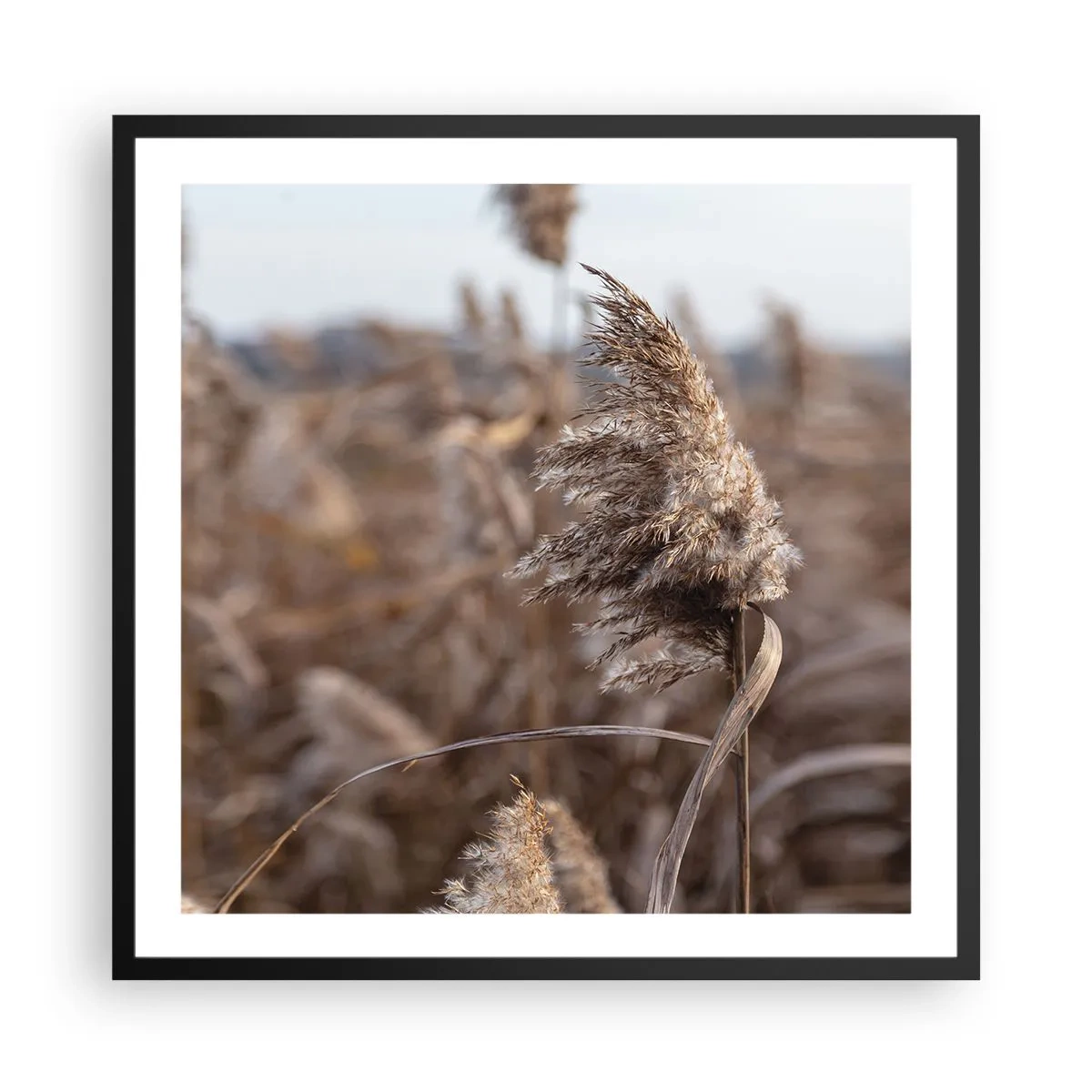 Plakat w czarnej ramie - Czas odlecieć z wiatrem - 60x60 cm