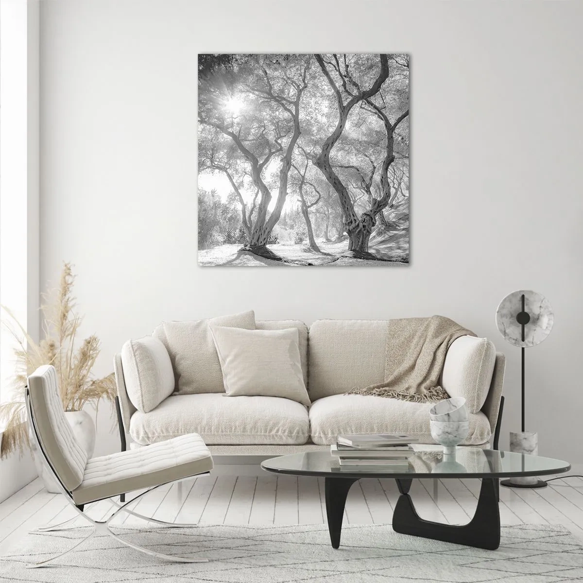 Obraz na szkle - W oliwnym gaju - 50x50 cm