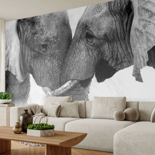 Fototapeta Premium Canvas - Dwa słonie w czułym geście na monochromatycznym tle - 100x70cm - Serdeczne wyznanie - Nowoczesna dekoracja ścienna do salonu i sypialni ARTTOR