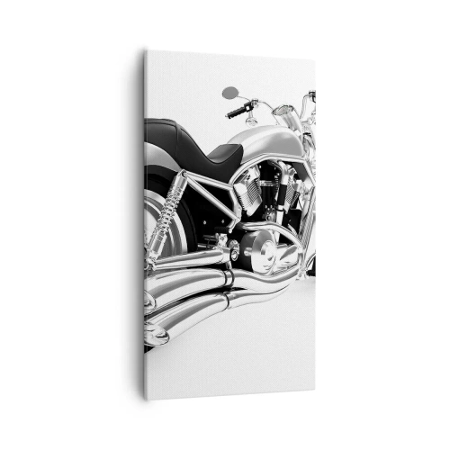 Obraz na płótnie - Marzenie kolekcjonera - 55x100 cm