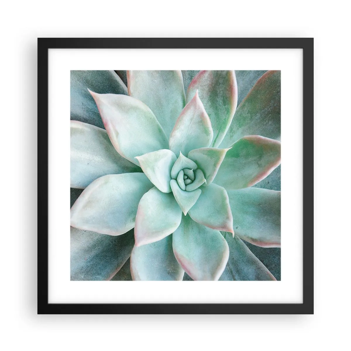 Plakat w czarnej ramie - Serce pustyni - 40x40 cm