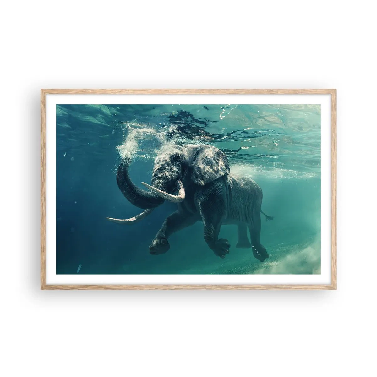 Plakat w ramie jasny dąb - Wszyscy lubią pływać - 91x61 cm