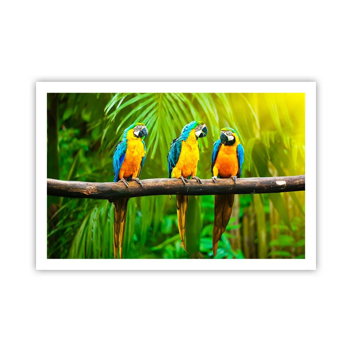 Plakat - A słyszałaś, że ona…? - 91x61 cm