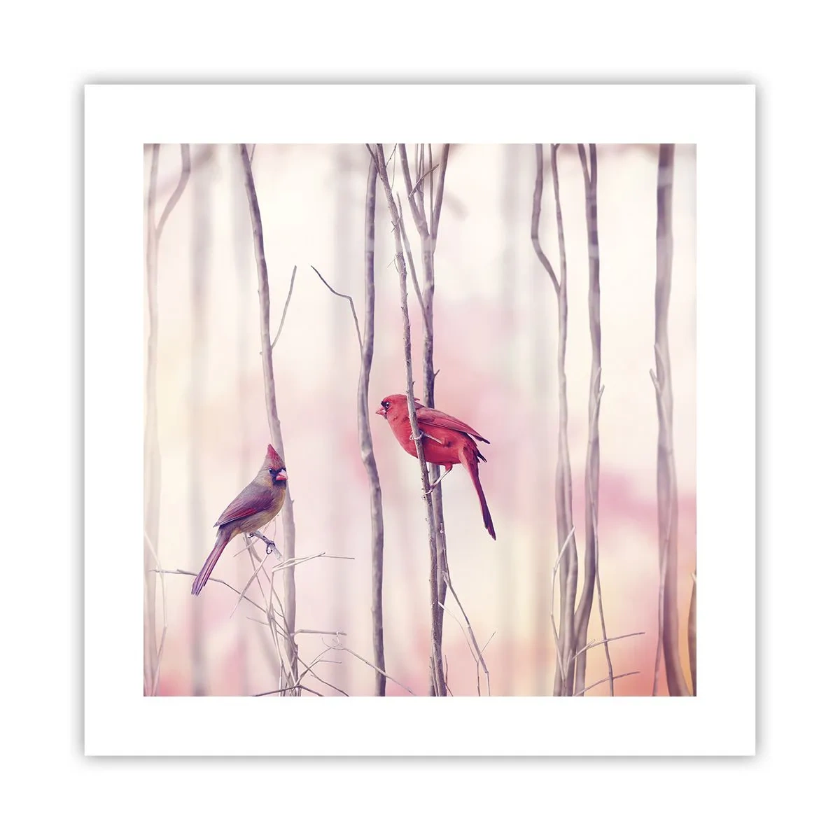Plakat - Opowieść różowego lasu - 40x40 cm
