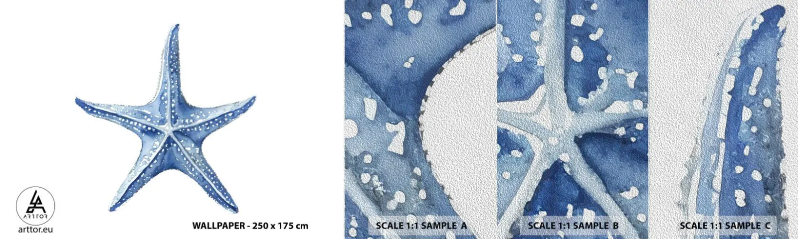 Fototapeta Próbka Premium Sand - Gwiazda morza - Rozgwiazda, Nadmorski, Rafa Koralowa - 100x30 cm