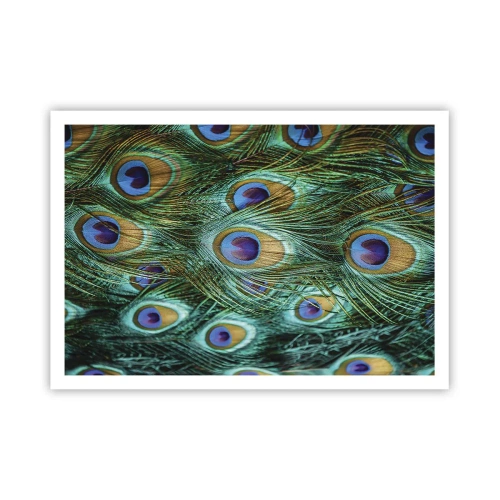Plakat - Detale pawich piór w soczystych kolorach - 100x70cm - Pawiookie spojrzenie - Nowoczesna dekoracja ścienna do salonu i sypialni ARTTOR