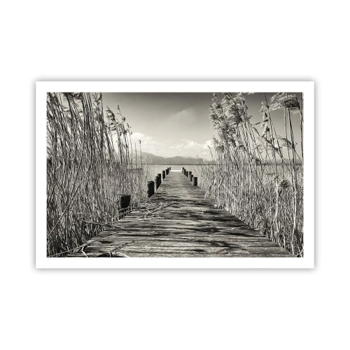 Plakat - W zaciszu traw - 91x61 cm