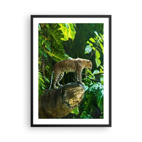Plakat w czarnej ramie - Lampart stojący na skale w tropikalnym lesie - 50x70cm - Na łowy? - Nowoczesna dekoracja ścienna do salonu i sypialni ARTTOR
