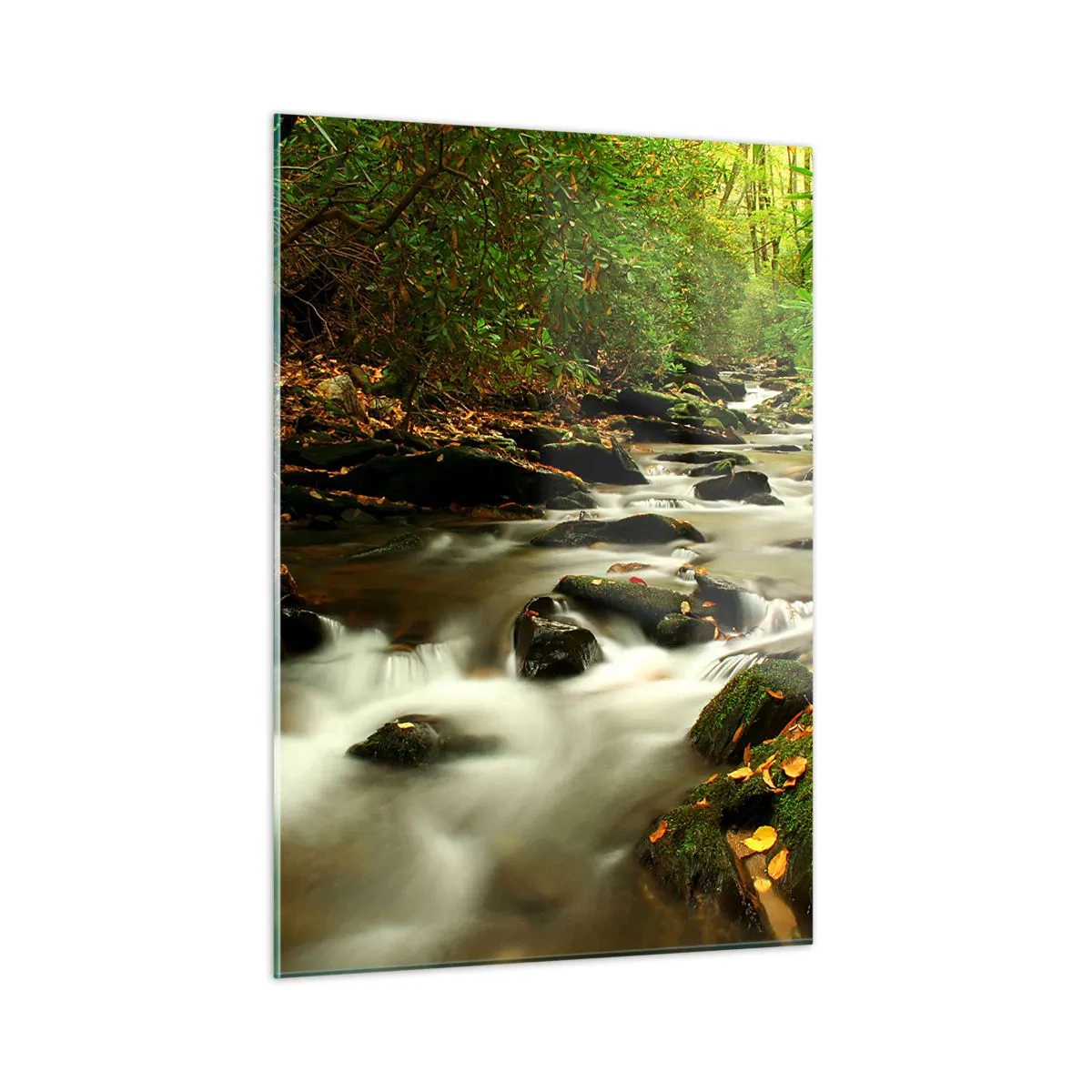 Obraz na szkle - Strumień w lesie otoczony kamieniami i liśćmi - 50x70cm - Jak płynne srebro - Nowoczesna dekoracja ścienna do salonu, kuchni i sypialni ARTTOR