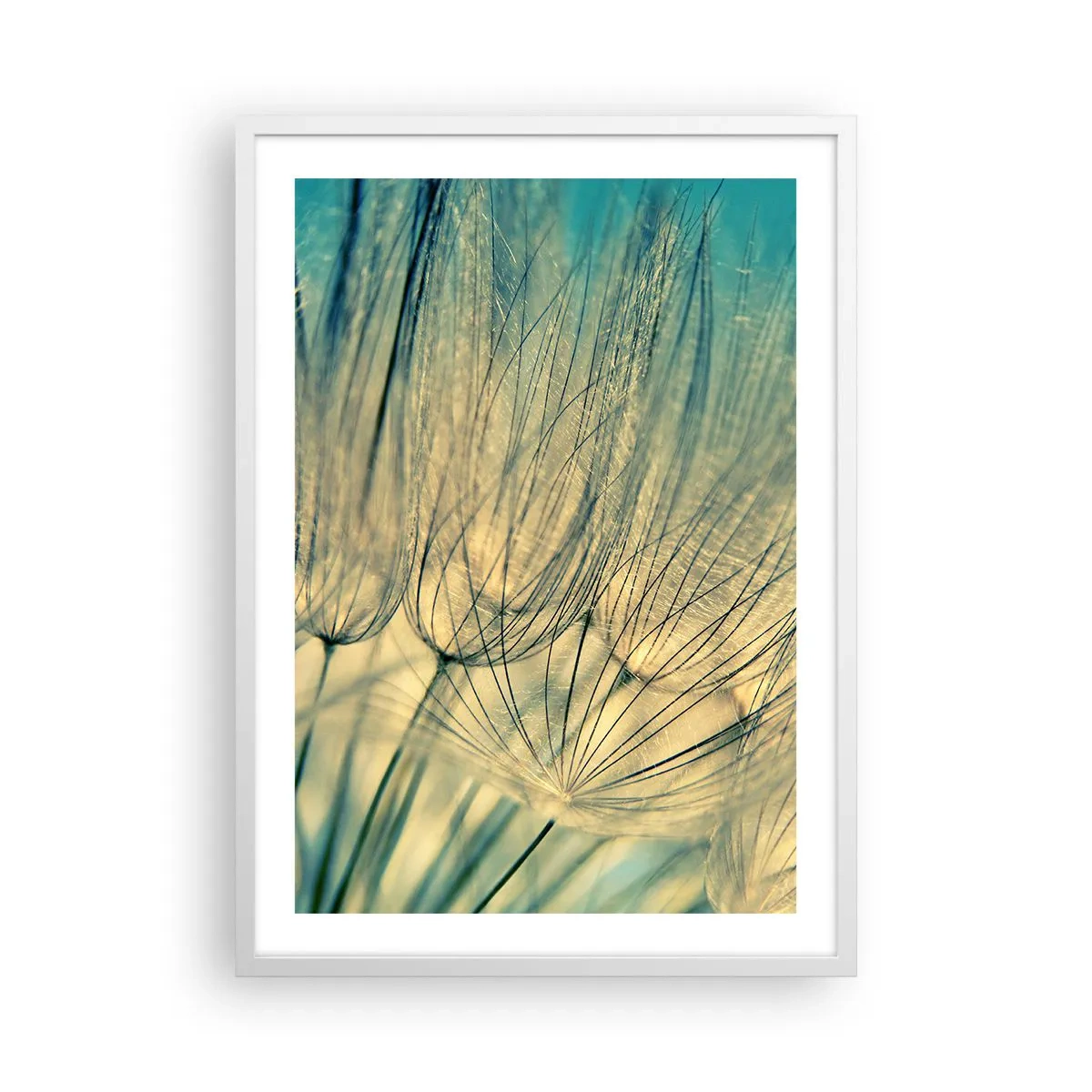 Plakat w białej ramie - W oczekiwaniu na wiatr - 50x70 cm