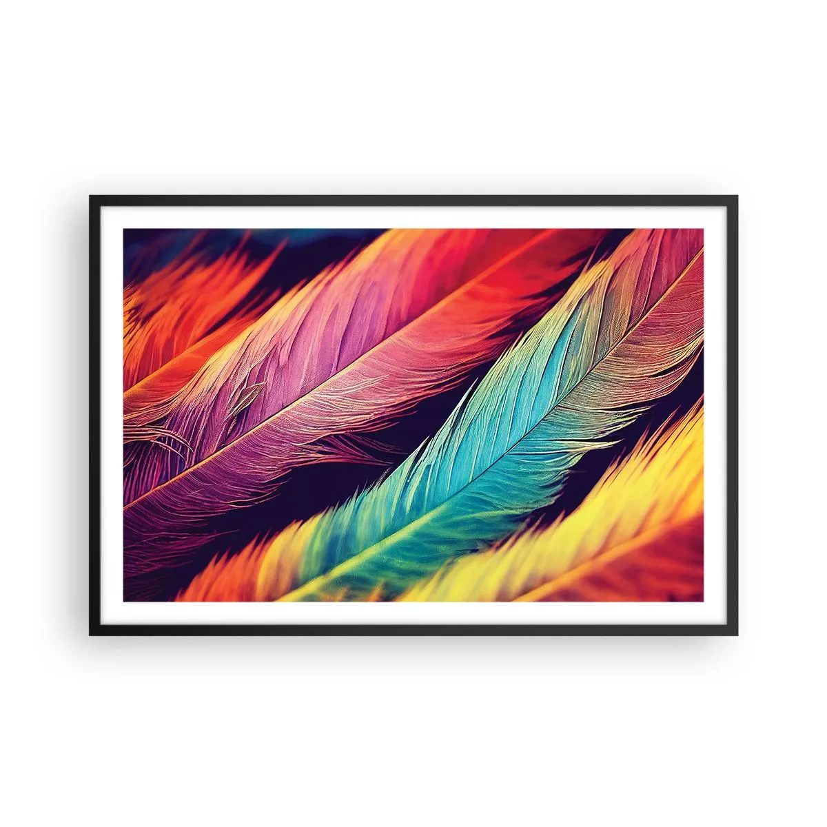 Plakat w czarnej ramie - Pierzasta tęcza - 91x61 cm
