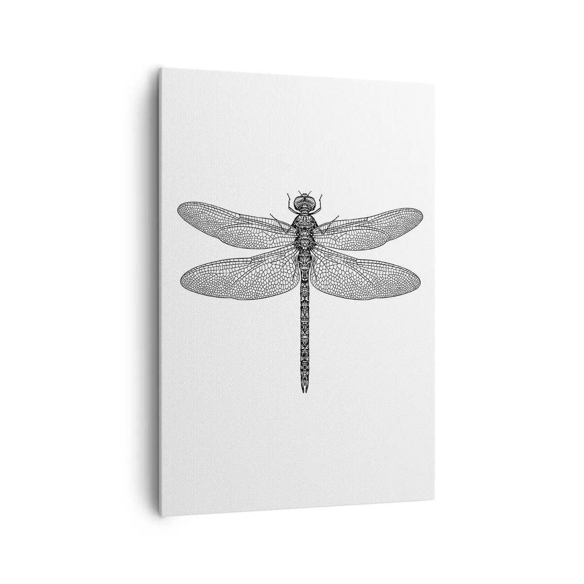Obraz na płótnie - Czarno-biały rysunek ważki na białym tle w minimalistycznym stylu - 70x100cm - Precyzja natury - Nowoczesna dekoracja ścienna do salonu i sypialni ARTTOR