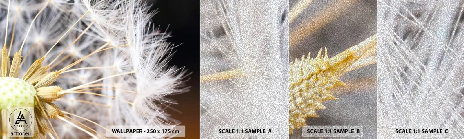 Fototapeta Próbka Premium Sand - Tuż przed odlotem - Kwiat, Roślina, Natura - 100x30 cm