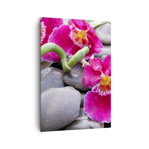 Obraz na płótnie - Różowe orchidee na tle gładkich kamieni - 70x100cm - Chłód i żar - Nowoczesna dekoracja ścienna do salonu i sypialni ARTTOR