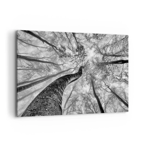 Obraz na płótnie - Perspektywa drzew w lesie widzianych od dołu w odcieniach szarości - 100x70cm - Wyścig do światła - Nowoczesna dekoracja ścienna do salonu, kuchni i sypialni ARTTOR