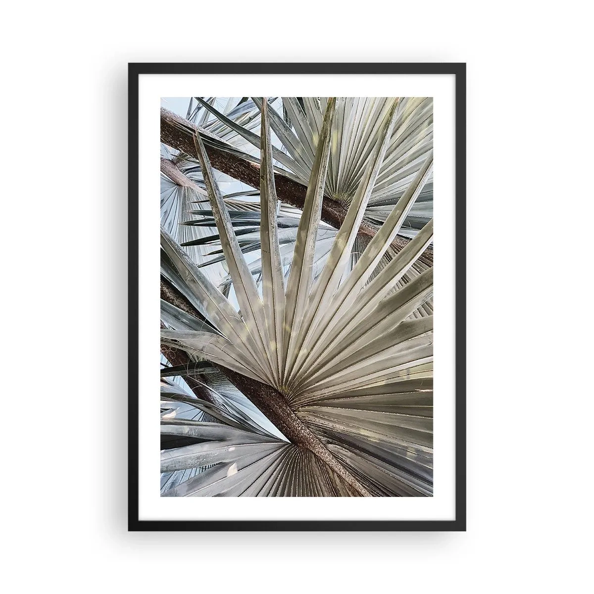 Plakat w czarnej ramie - Zbliżenie na liście palmy w pastelowych odcieniach - 50x70cm - Wachlarze w tropikach - Nowoczesna dekoracja ścienna do salonu i sypialni ARTTOR
