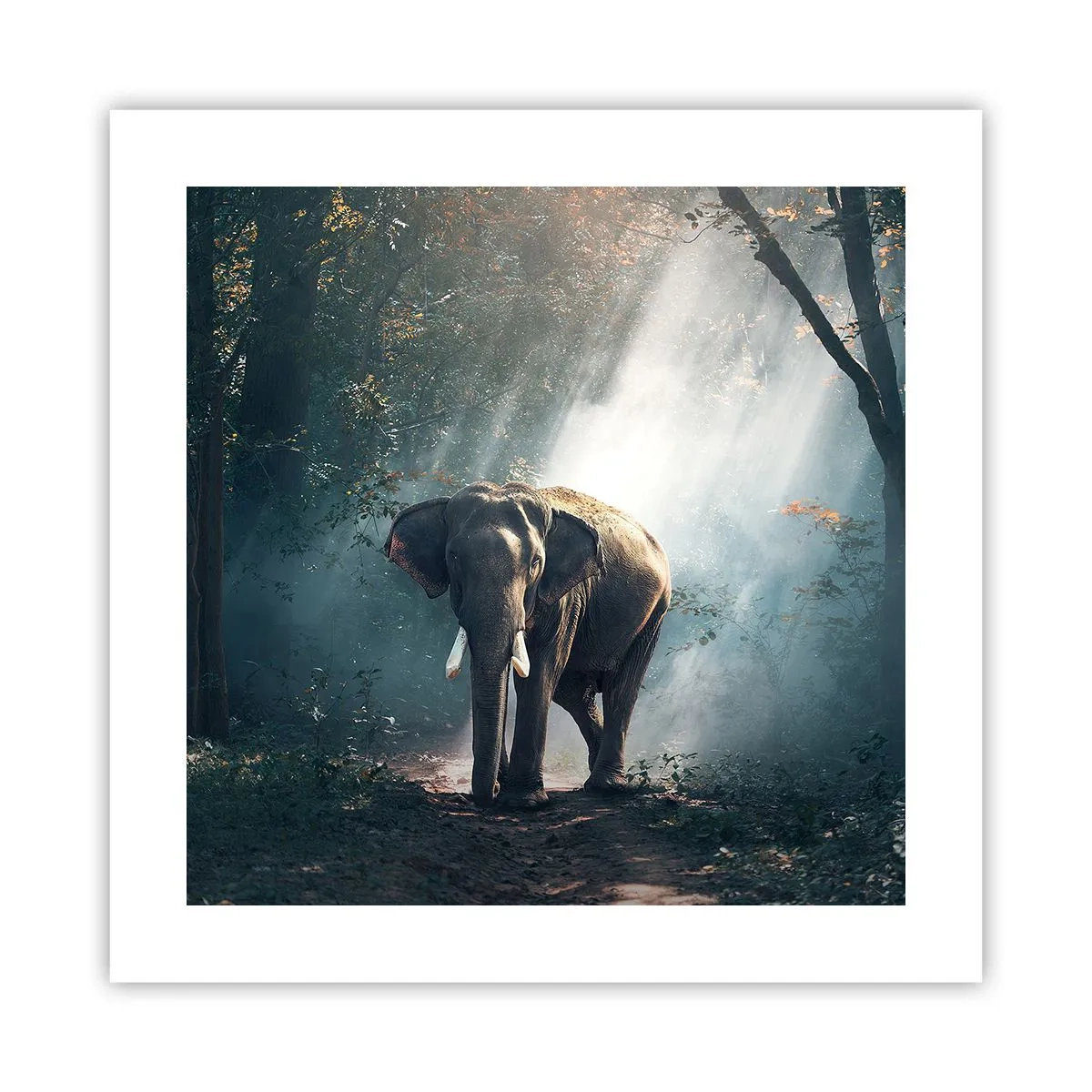 Plakat - Spokojna przechadzka - 40x40 cm