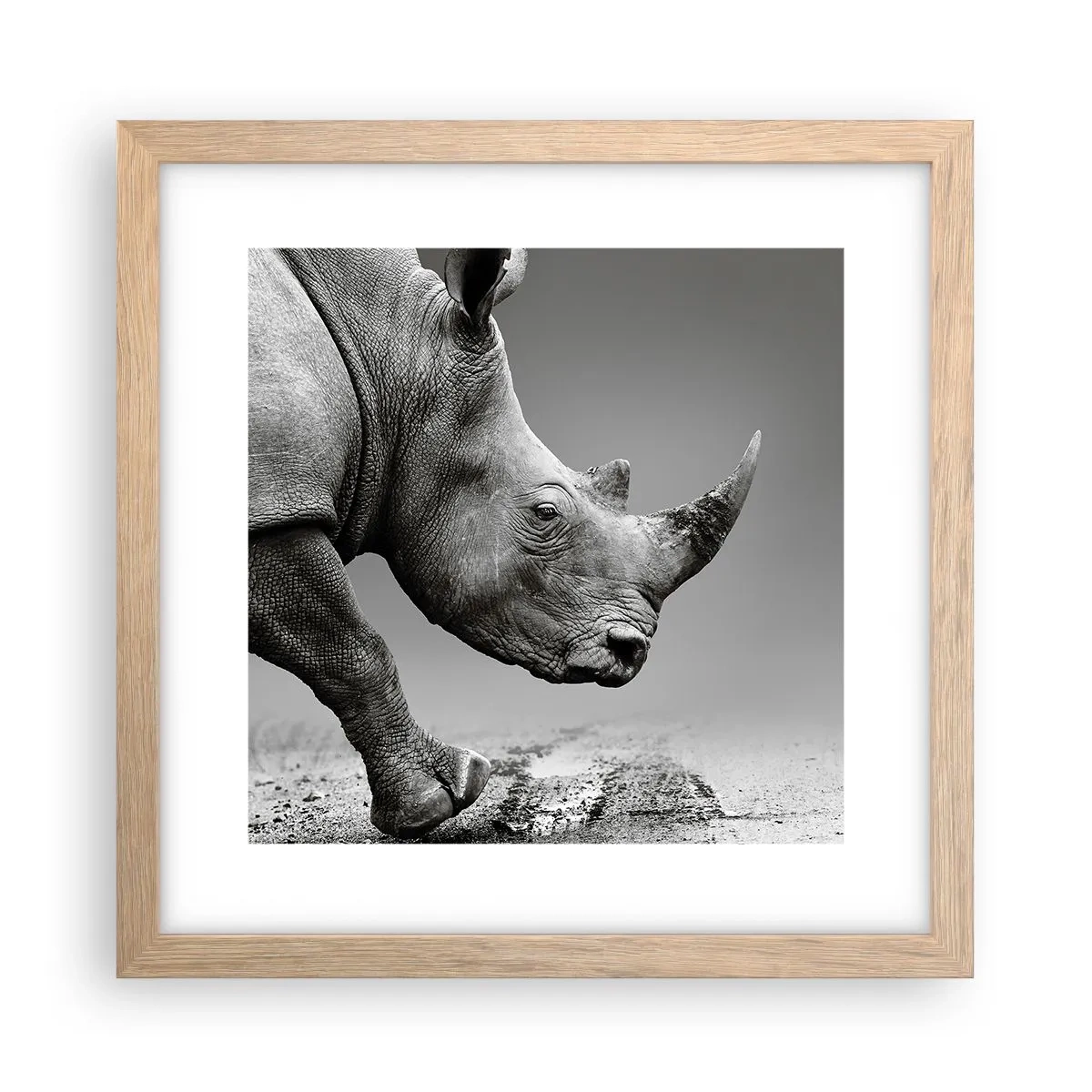 Plakat w ramie jasny dąb - Niepowstrzymana siła - 30x30 cm