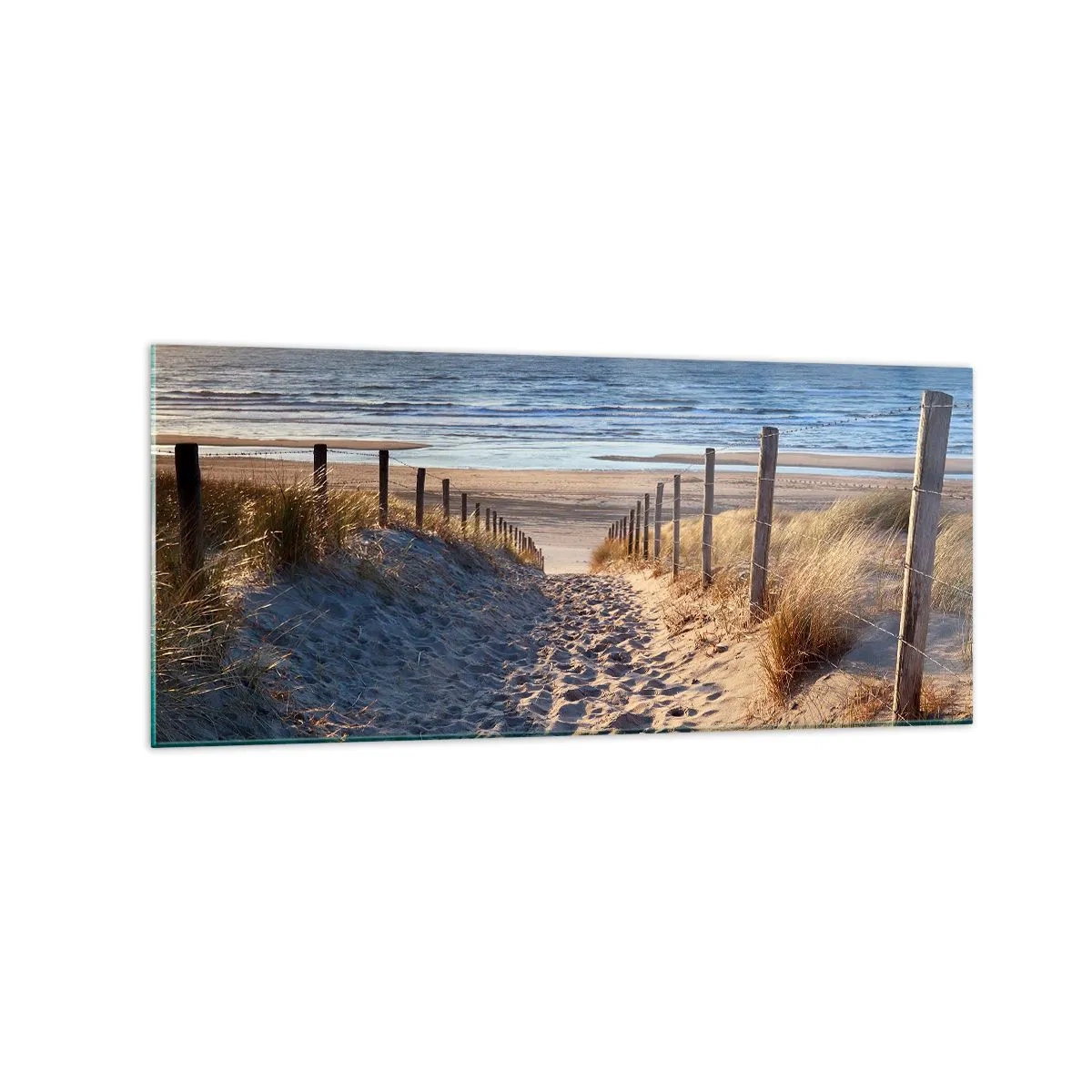 Obraz na szkle - Ścieżka przez wydmy prowadząca na plażę - 120x50cm - Morza szum, ptaków śpiew, dzika plaża pośród traw… - Nowoczesna dekoracja ścienna do salonu i sypialni ARTTOR
