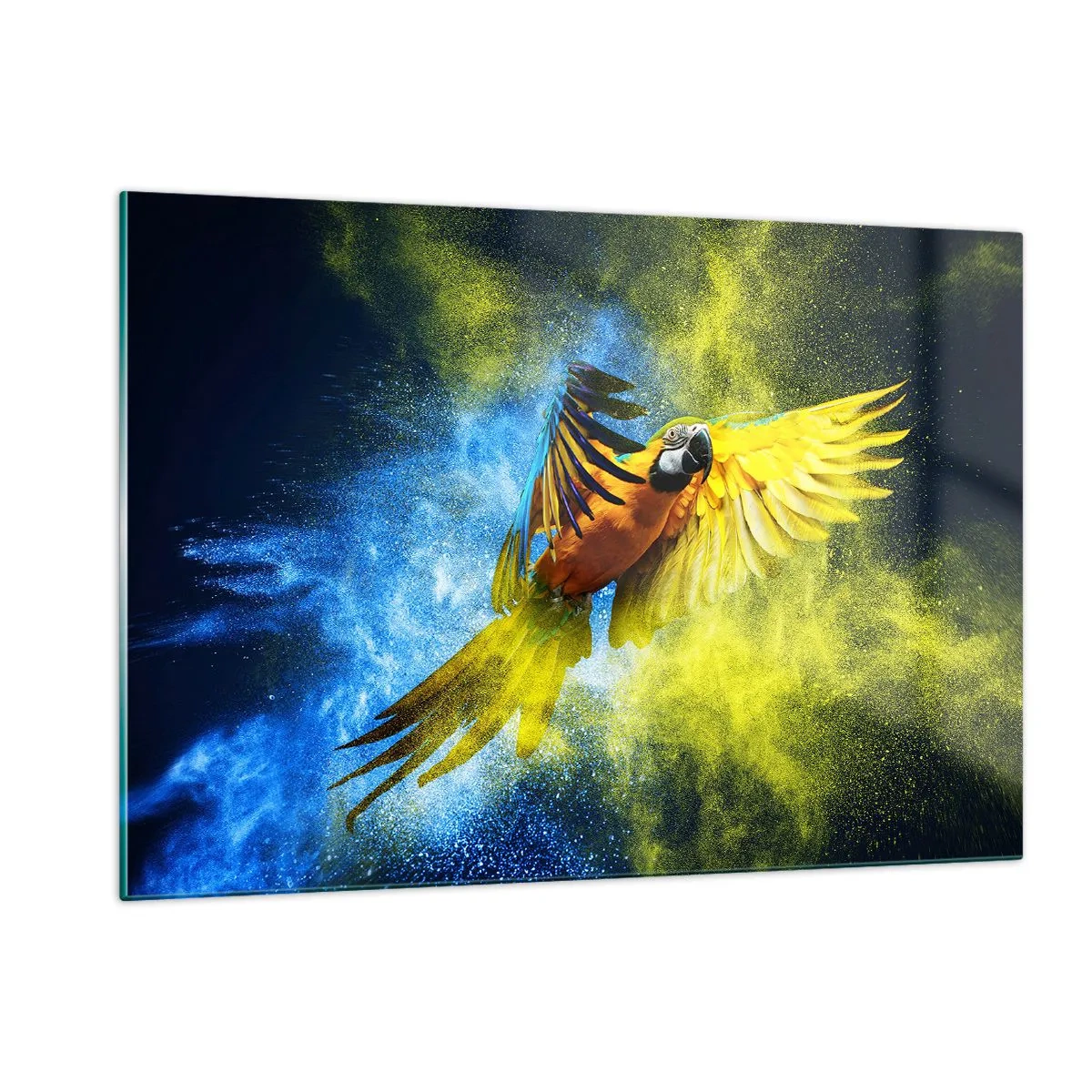 Obraz na szkle - Kolorowa papuga w locie na tle żółto-niebieskim - 120x80cm - W błękitno-złotym pyle - Nowoczesna dekoracja ścienna do salonu, kuchni i sypialni ARTTOR