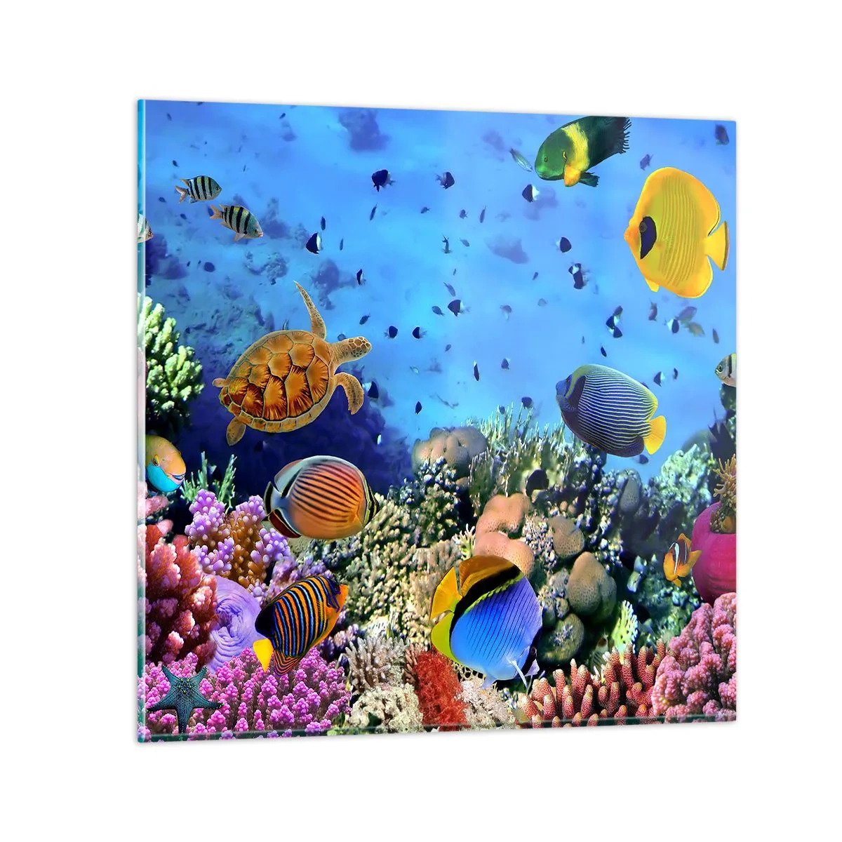 Obraz na szkle - I co my wiemy o życiu... - 50x50 cm