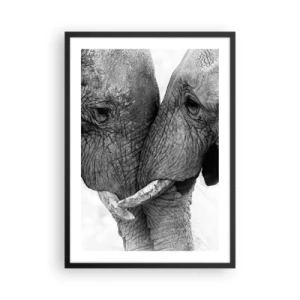 Plakat w czarnej ramie - Bliskie ujęcie dwóch słoni w czerni i bieli - 50x70cm - Serdeczne wyznanie - Nowoczesna dekoracja ścienna do salonu i sypialni ARTTOR