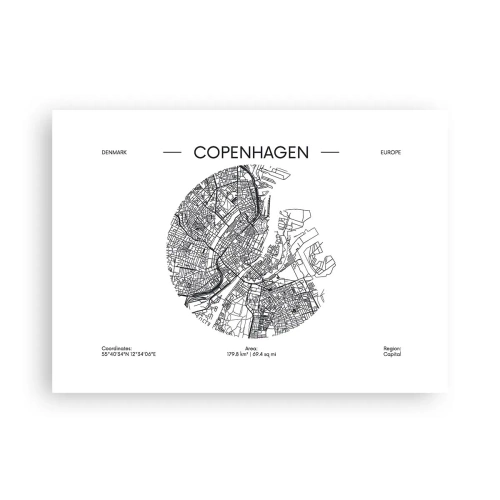 Plakat - Anatomia Kopenhagi - 70x50 cm