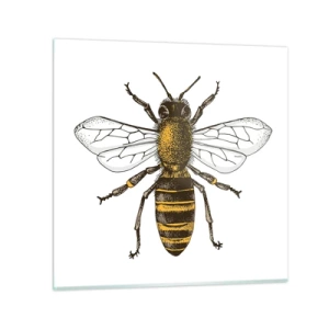 Obraz na szkle - Piękna i dobra - 70x70 cm