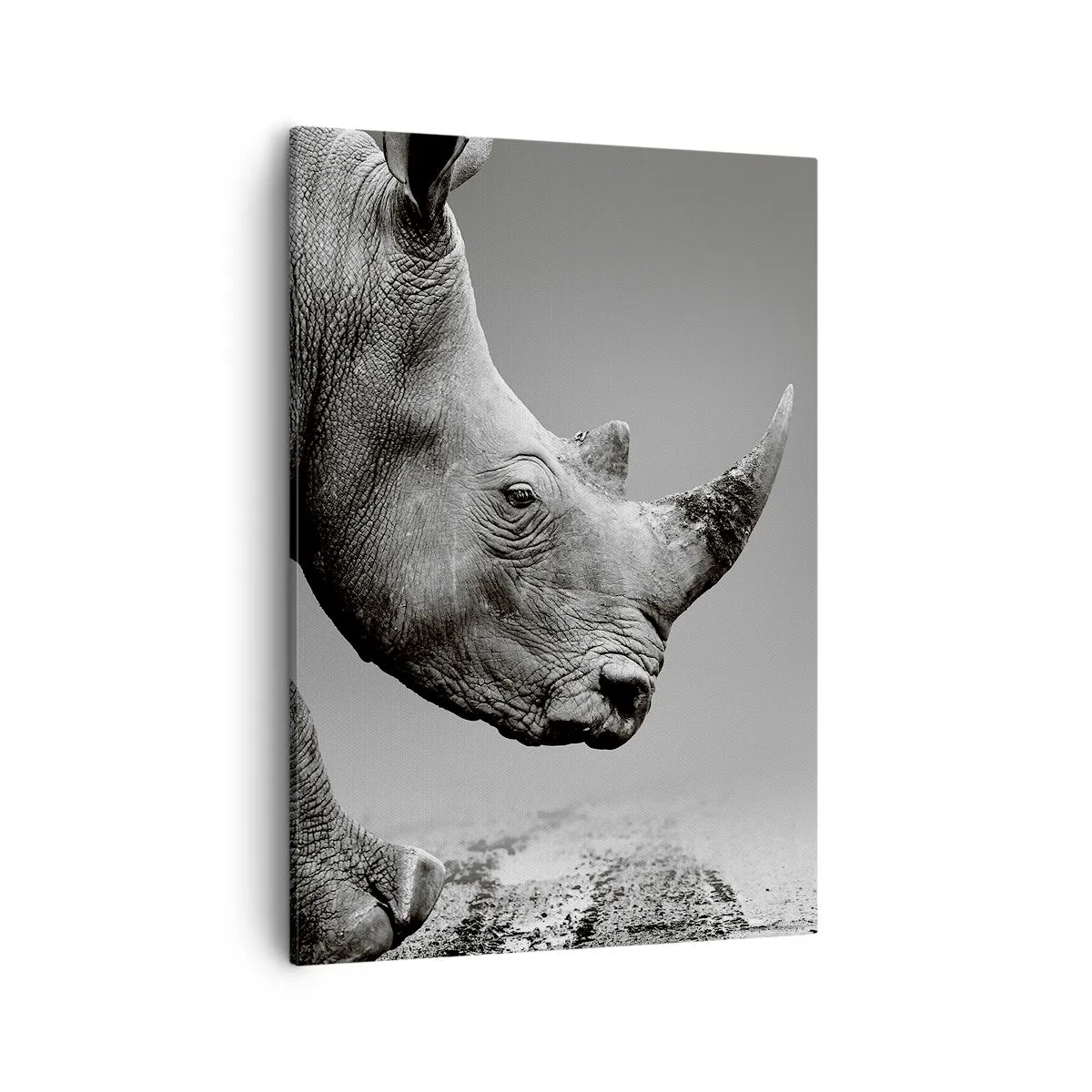 Obraz na płótnie - Czarno-białe zbliżenie głowy nosorożca na szarym tle - 50x70cm - Niepowstrzymana siła - Nowoczesna dekoracja ścienna do salonu, kuchni i sypialni ARTTOR