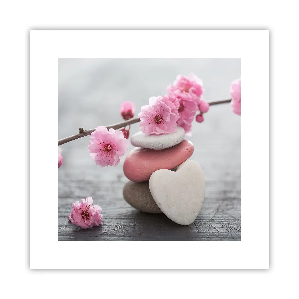Plakat - Błogość z kwiatem wiśni - 30x30 cm