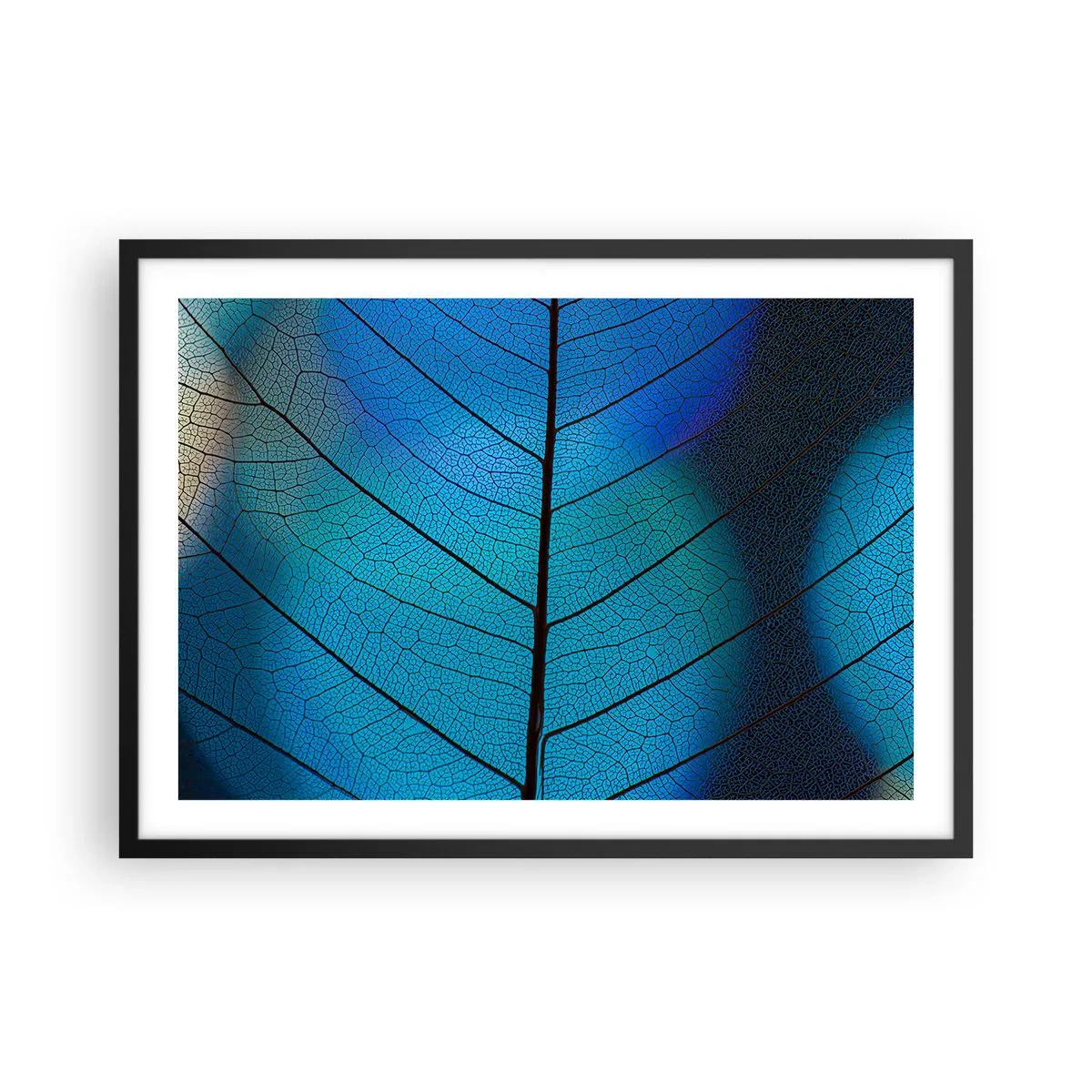 Plakat w czarnej ramie - Zbliżenie na niebieski liść z widocznym detalem żyłek - 70x50cm - Misterna budowa - Nowoczesna dekoracja ścienna do salonu i sypialni ARTTOR