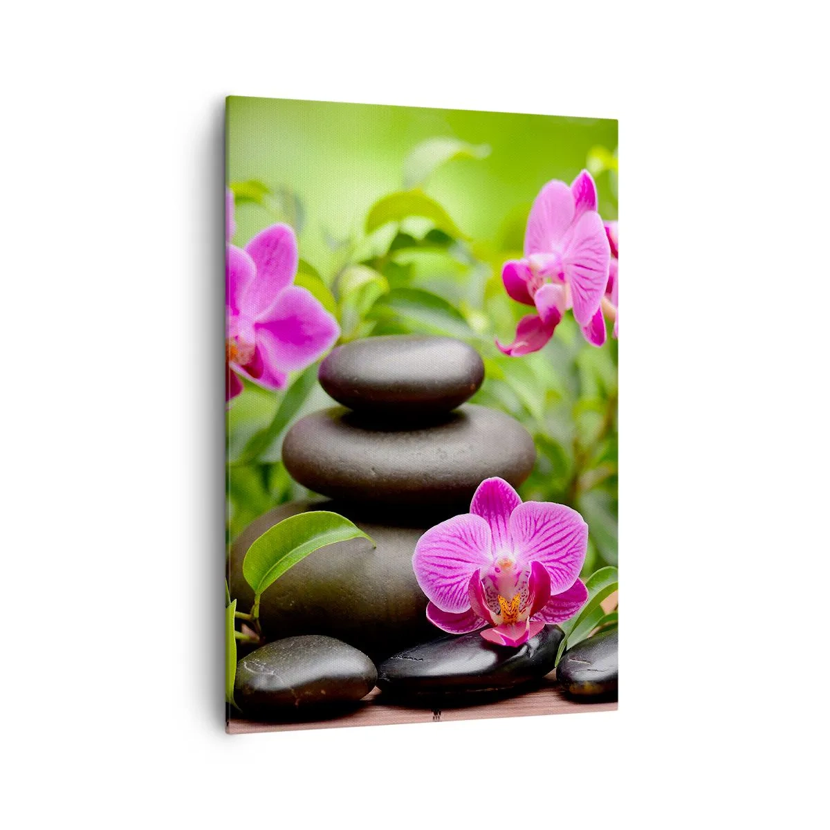 Obraz na płótnie - Różowe orchidee z kamieniami na tle zieleni - 70x100cm - Piramida spokoju - Nowoczesna dekoracja ścienna do salonu i sypialni ARTTOR