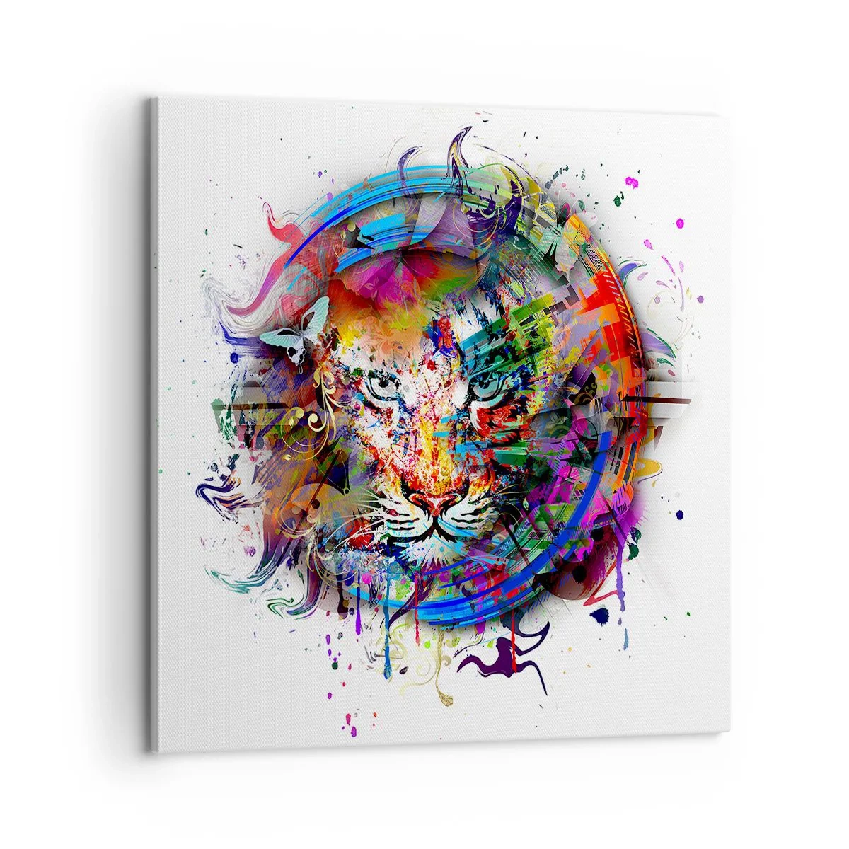 Obraz na płótnie - Czai się za tęczową zasłoną - 60x60 cm